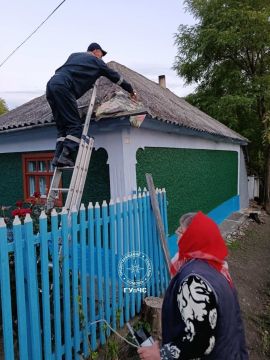 В Колбасне у пенсионерки под крышей поселилась целая компания агрессивных ос. Насекомые жалили женщину, и она уже не могла спокойно выйти во двор