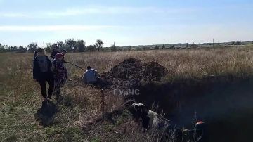 «Давай, давай, давай!» — в Чобручах из пятиметровой ямы спасли корову