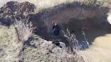 В с. Чобручи из пятиметровой ямы вытащили корову
