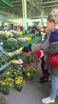 ����� ��������� ������� �� ������ �����