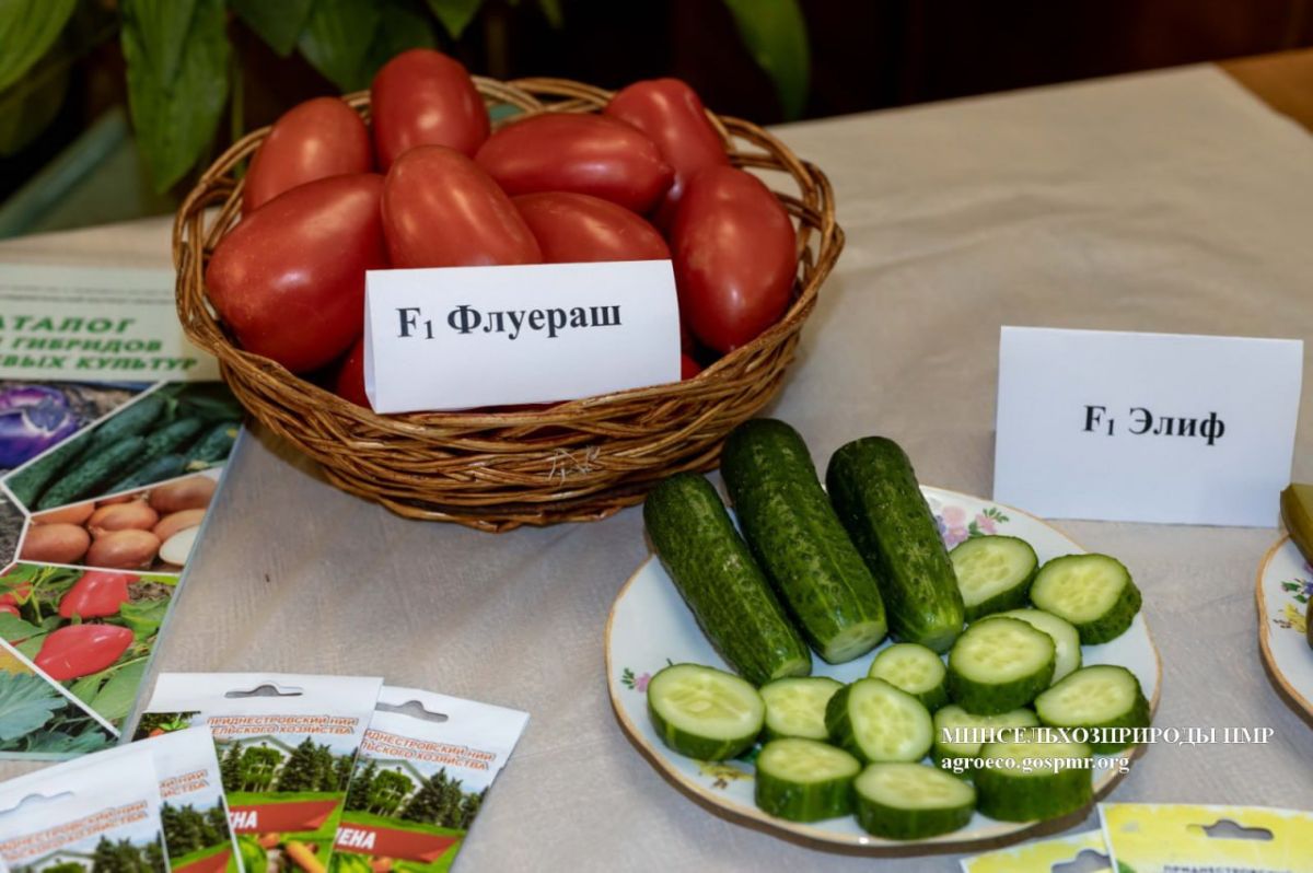 Приднестровский НИИ сельского хозяйства участвует в конкурсе «Приднестровское качество» Приднестровский НИИ сельского хозяйства участвует в конкурсе «Приднестровское качество»