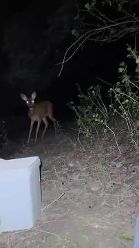 ����� �������� � ������ ������ ����� ��������� ��������