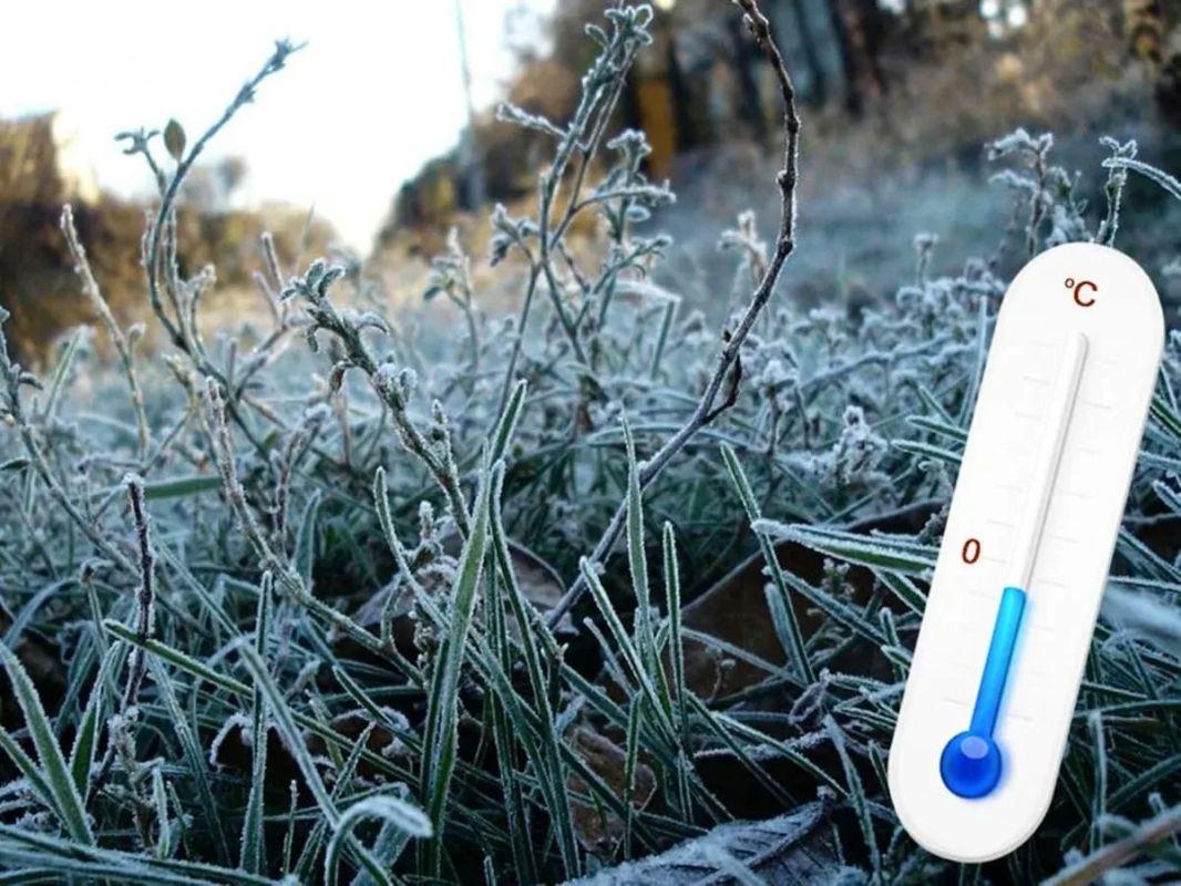 - 2 завтра на почве обещает гидрометцентр утром на севере Приднестровья
