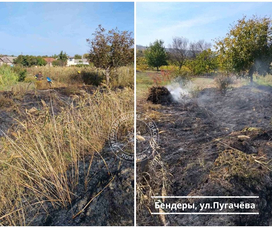 Вчера бендерские пожарные два раза выезжали на возгорания сухой травы Вчера бендерские пожарные два раза выезжали на возгорания сухой травы