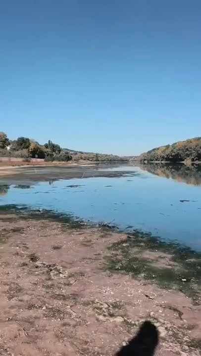 Рыбак наткнулся на человеческие фекалии в Днестре