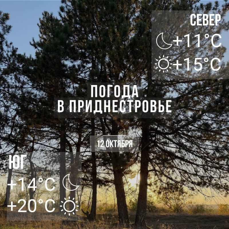 Утром – местами туман. Днём – до +20°С, дожди повсеместно