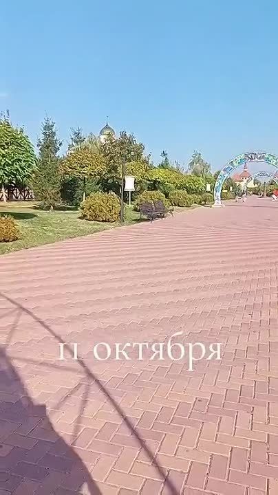 Бендерчанка показывает, какие молодцы в Бендерах