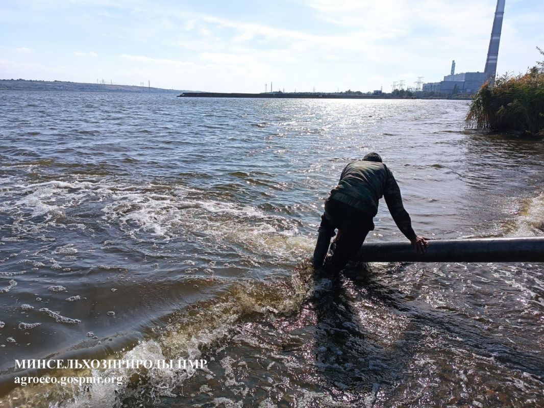 В этот же период мелиоративное зарыбление Кучурганского водохранилища провело ЗАО «Молдавская ГРЭС» В этот же период мелиоративное зарыбление Кучурганского водохранилища провело ЗАО «Молдавская ГРЭС»