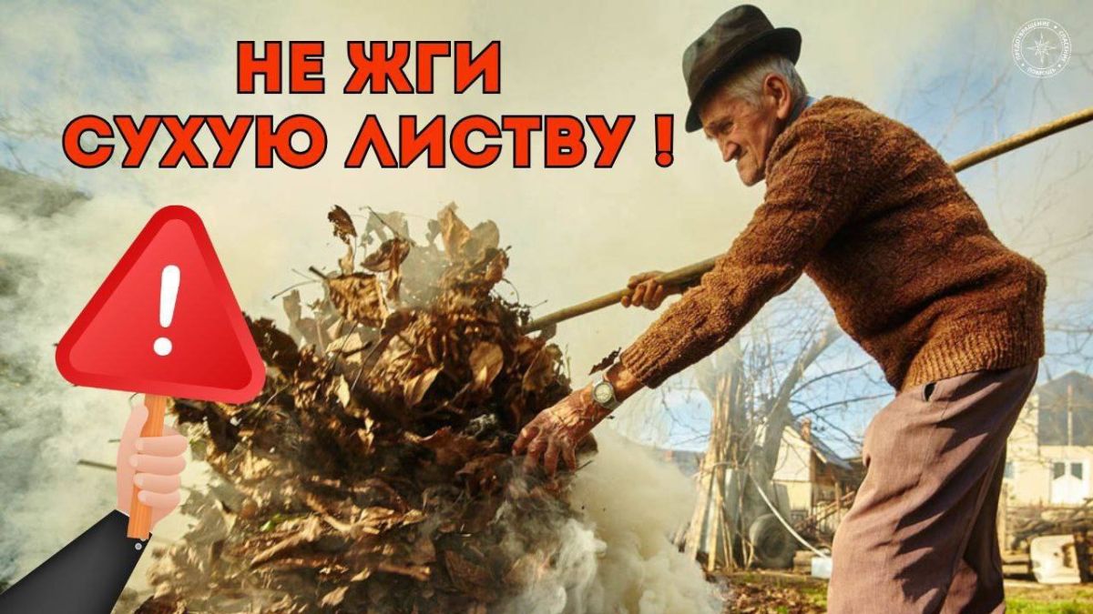 ГУпЧС: не жгите листья!.