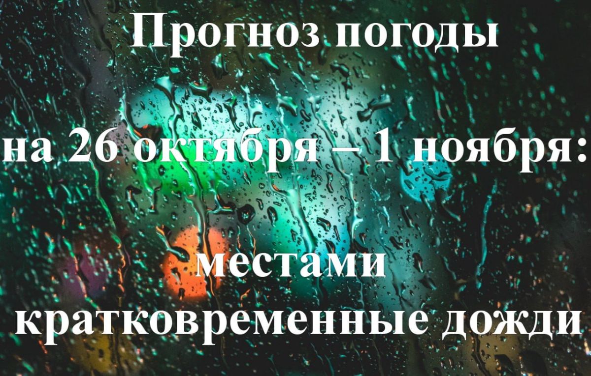 Прогноз погоды на 26 октября – 1 ноября: местами кратковременные дожди