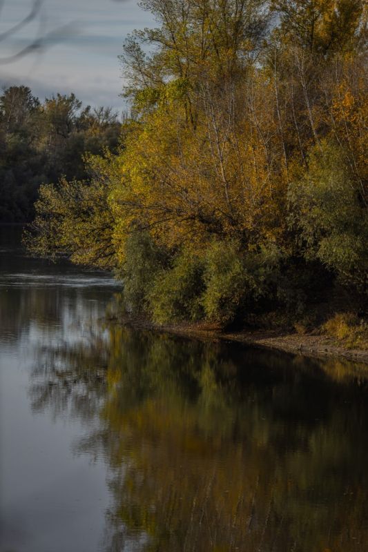 Осенние зарисовки от Виктора Громова Осенние зарисовки от Виктора Громова